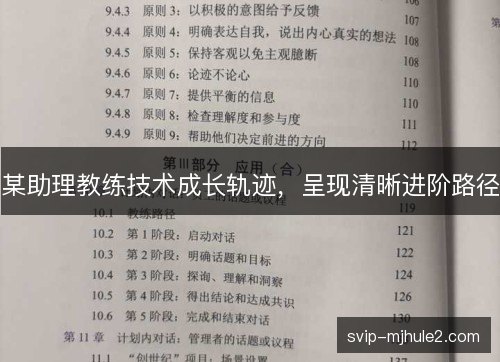 某助理教练技术成长轨迹,呈现清晰进阶路径 某助理教练技术成长轨迹,呈现清晰进阶路径